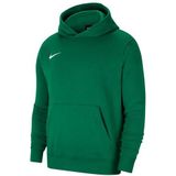 Nike Uniseks-Kind Sweater Met Capuchon Y Nk Flc Park20 Po Hoodie, Pine Green/White, CW6896-302, XS