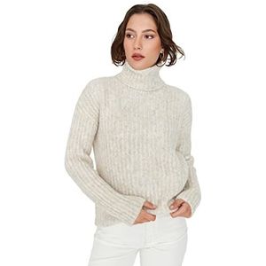 Trendyol Coltrui voor dames Colorblock Regular Sweater Sweater, Ecru, L, Ecru, L