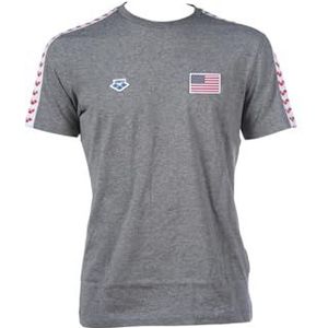 Arena Heren Team Stripe T-Shirt