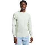 Lee - Clean Raglan - Trui - Soft Sage - Normale Pasvorm - Lange Mouwen
