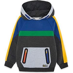Tuc Tuc Pluche sweatshirt met capuchon, kangoeroezak, voor kinderen, grijs, City Gamer FW21, 4A jongens