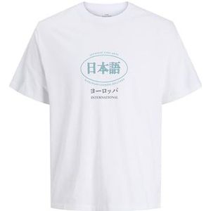 JACK & JONES - JORSoutheast Gallery - Shirt - Azuur - Donkergrijs - Smaragd - Wit