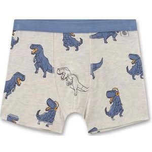 Sanetta Kinderjongens onderbroek shorts zachte tailleband biologisch katoen, Nature Melange, 128 cm