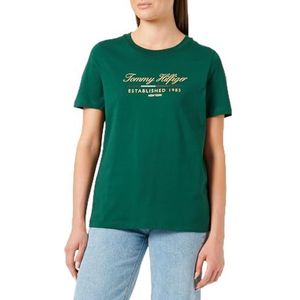 Tommy Hilfiger Dames REG Script Graphic C-NK SS WW0WW43502 S/S T-shirt, sier groen, XXS, Groen (Sier Groen), XXS