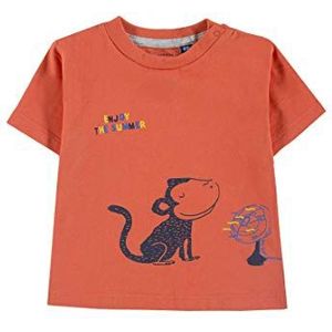 TOM TAILOR T-shirt voor babyjongens met placed print, oranje (nostaltium|oranje 4079), 68 cm