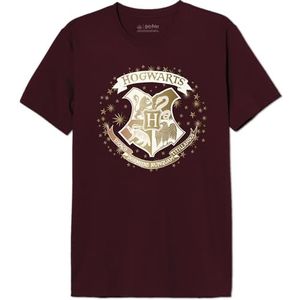 HARRY POTTER T-shirt voor heren, Burgundy, 3XL