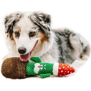 Dingo Pluche hondenspeelgoed cactus Santa in een bruine pot met pieper, grappig kerstcadeau voor training, beloning, speelgoed, 34 cm lang, meerkleurig 17475