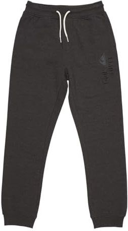 Quiksilver Age Of Blue Trainingsbroek Grijs Jongen