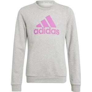 adidas Essentials katoenen sweatshirt met groot logo voor meisjes (lange mouw), Medium Grijs Heide/Semi Lucide Fuchsia, 13-14 jaar