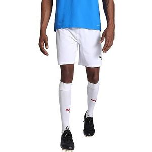 PUMA Teamfinal shorts voor heren