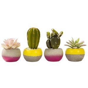 Talking Tables FST3-SUCCULENT Tropische Fiesta vetplantenpotten, gemengde set van 8, 4 designs, plastic, meerkleurig