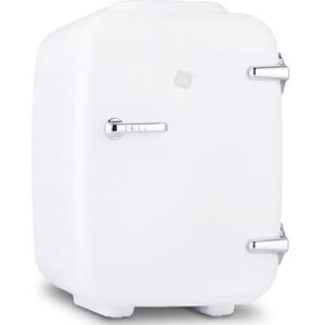 NK Mini-koelkast, draagbaar, inhoud 4 liter, 12 V-220 V, koel- en verwarmingsfunctie, voor cosmetica en verfrissing