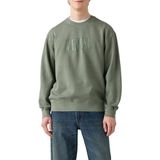 LEVI'S - Sweatshirt - Groen - Ronde Hals - Losse Pasvorm