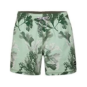 O'NEILL Origin Oyster zwemshorts voor heren (verpakking van 3)