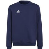 Adidas Sweatshirt voor kinderen, uniseks Ent22 Sw Topy, Tenabl, H57568, 176 EU