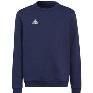 Adidas Sweatshirt voor kinderen, uniseks Ent22 Sw Topy, Tenabl, H57568, 176 EU