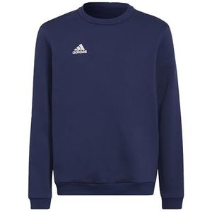 adidas Unisex Kids Sweatshirt Ent22 Sw Topy, Tenabl, H57568, 140 EU