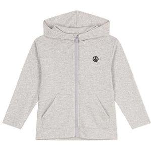Petit Bateau Sweatshirt met capuchon voor kinderen en jongens, Grijs, 5 jaar