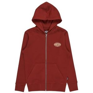 Billabong - Foundation Hoodie - Pullover Hoodie - Katoen en Gerecycled Polyester Mix - Voor Jongens 8-16