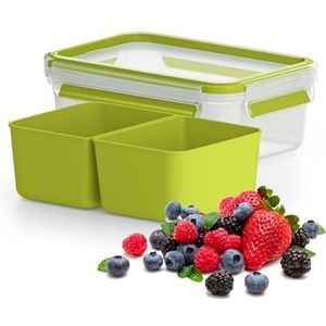 Tefal Master Seal to Go Snackbox met inzetstukken voor voedselopslag, helder/groen, 1 liter