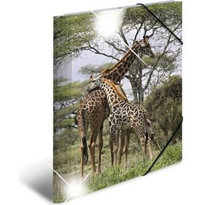 HERMA 19322 verzamelmap DIN A4 dieren giraffe, set van 3 stevige kunststof, opbergmap met hoogglans-effect, bedrukte binnenkleppen en elastiek, documentenmap voor kinderen, jongens en meisjes