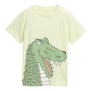 TOM TAILOR - 29078 - T-shirt - Lime Cream Green - Korte Mouwen