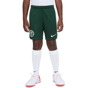 Nike Unisex Kids Shorts Nff Y Nk Df Stad Short Ha, Pro Green/Pro Green/Wit, DN0869-397, L