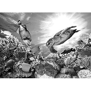BEELD BEHANG PAPERMOON, koraalgreep zwart / wit, vlies fotobehang, digitale druk, incl. lijm, verschillende maten