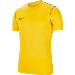 Nike Heren Short Sleeve Top M Nk Df Park20 Top Ss, Toren Geel/Zwart/Zwart/Zwart., BV6883-719, M