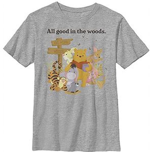 Disney Winnie de Poeh in The Woods Boy's Crew Tee, Athletic Heather, XS, Athletic Heather, XS