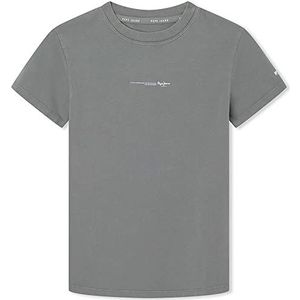 Pepe Jeans Davide Tee T-shirt voor kinderen en jongeren, groen (casting), 6 jaar