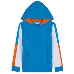 ROLAND-GARROS Pop Energy Sweatshirt met capuchon voor jongens