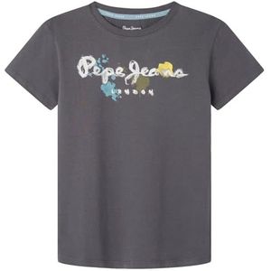 Pepe Jeans Redell T-shirt voor kinderen, grijs (Phantom Grey), 8 jaar, grijs (fantom grey), 8 jaar