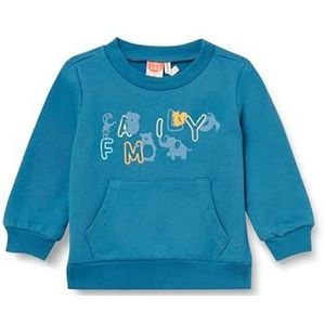 Koton Babyboys bedrukt lange mouwen ronde hals kangoeroezak geborsteld interieur katoen sweatshirt, groen (984), 18-24 Monate