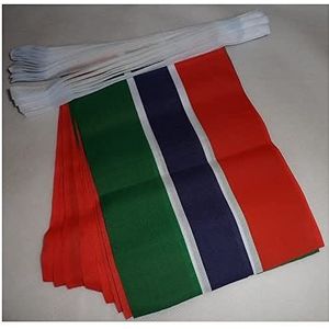AZ FLAG - Gambia Bunting Flag - 20 Ft Garland with 20 Small Gambian Flags 8'' x 6'' - 100% Polyester String Pennant - 6 meters