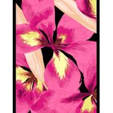 Only Onlalma Life Vis Isa Wrap Dress Aop, Carmine Rose, XS