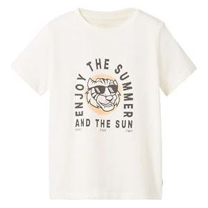 TOM TAILOR T-shirt voor jongens, 12906 - Wool White, 116/122 cm