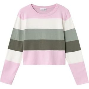 NAME IT Girl gebreide trui met lange, Lily Pad, 134-140