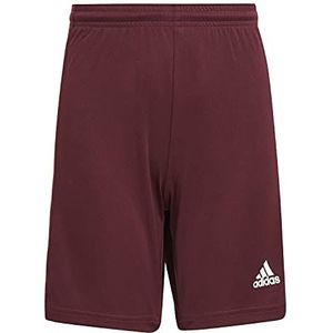 adidas Korte broek model Squad 21 SHO Y merk