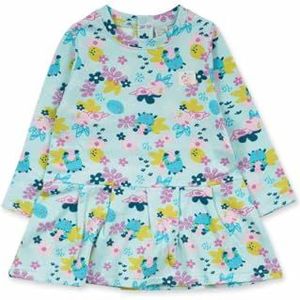 Tuc Tuc Pluche jurk voor meisjes, grijs, collectie Dragon Finder, Grijs, 0 Maanden