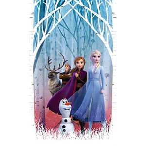 AG Design Elsa Frozen 2, Disney, gordijnen voor kinderkamer, 1-delig, meerkleurig, 140 x 245 cm
