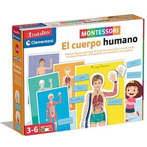 Clementoni - Montessori-Het menselijk lichaam educatief speelgoed, meerkleurig, medium (55476)