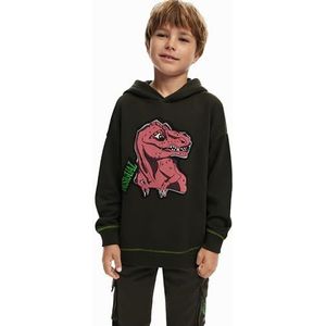 Desigual Jongens Boy Knit Sweat Sweatshirt met lange mouwen, groen, 8 Jaar