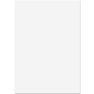 Blake Premium Business A4 297 x 210 mm Wove Business papier – Ice White (50 stuks)