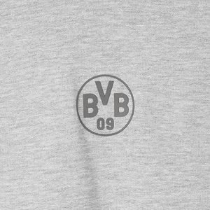 Borussia Dortmund BVB Hoodie Essentials, grijze capuchontrui, basic trui, S-3XL