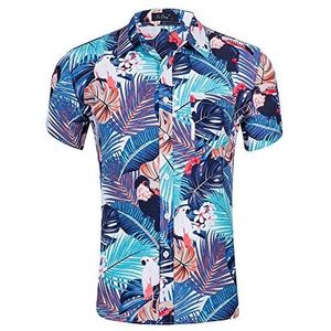Casual overhemd voor heren, print, buttondown, korte mouwen, Hawaiiaans shirt, zomer, vakantie, strand, regular fit, Ca