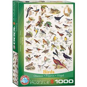 Vogels puzzel van 1000 stukjes