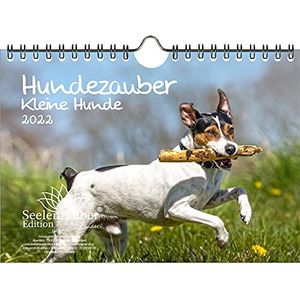 Seelenzauber Honden Magie Kleine Honden DIN A5 Wandkalender Voor 2022 Puppy's En Kleine Honden