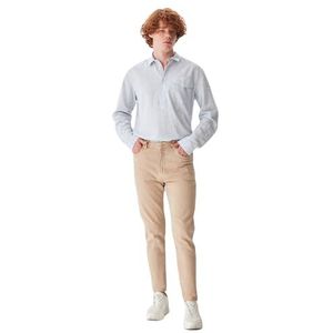 LTB Jeans Reeves Jeans voor heren, Light Taupe Wash 54992, 30W x 32L