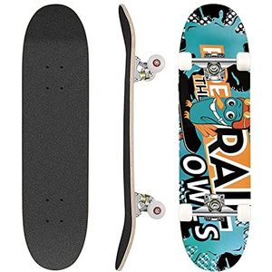 Hikole Skateboard, compleet board, skateboard van hout, 79 x 20 cm, Canadees esdoorn, 85 A, voor beginners, kinderen en volwassenen (8)